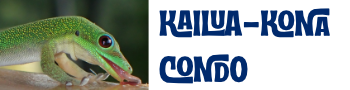 Kailua-Kona Condo